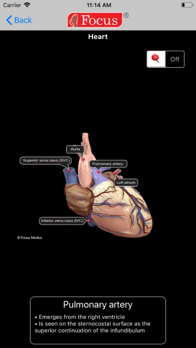 Ảnh chụp màn hình của HEART -  Digital Anatomy