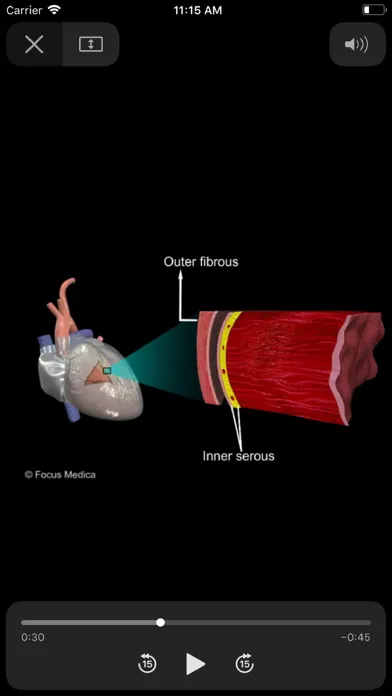 Ảnh chụp màn hình của HEART -  Digital Anatomy
