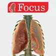LUNGS - Digital Anatomy