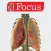 LUNGS - Digital Anatomy