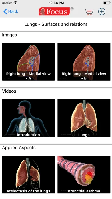 Captures d'écran de LUNGS - Digital Anatomy