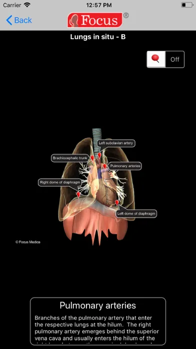 Captures d'écran de LUNGS - Digital Anatomy