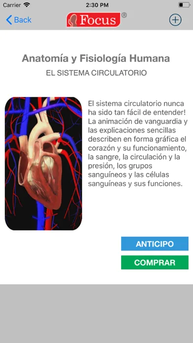 Скриншоты Junior Anatomía
