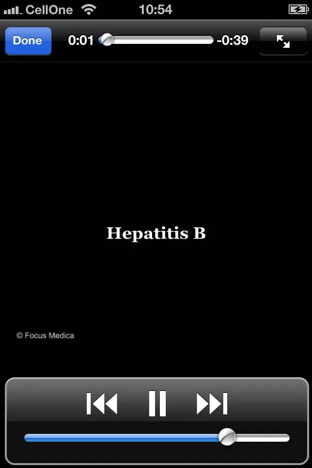 Animated Quick Reference Guide - HepatitisB Ekran Görüntüleri