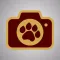 Tiger-Cam