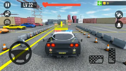 Police Car Parking Real Car 스크린샷