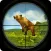Wild Bear Hunt: Hunting Games