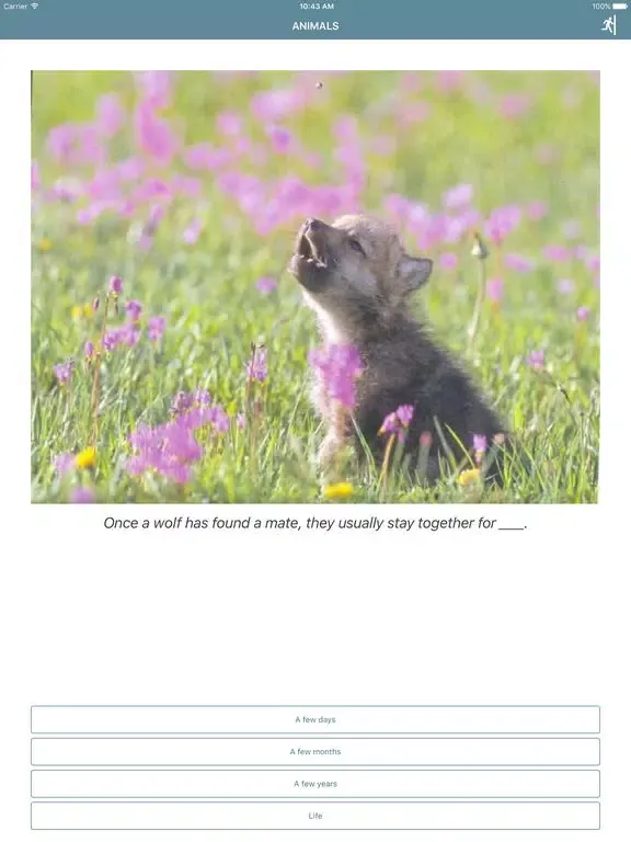 Follett Quizzes iPad  Screenshots
