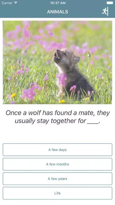 Follett Quizzes Screenshots