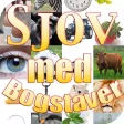 Sjov med bogstaver
