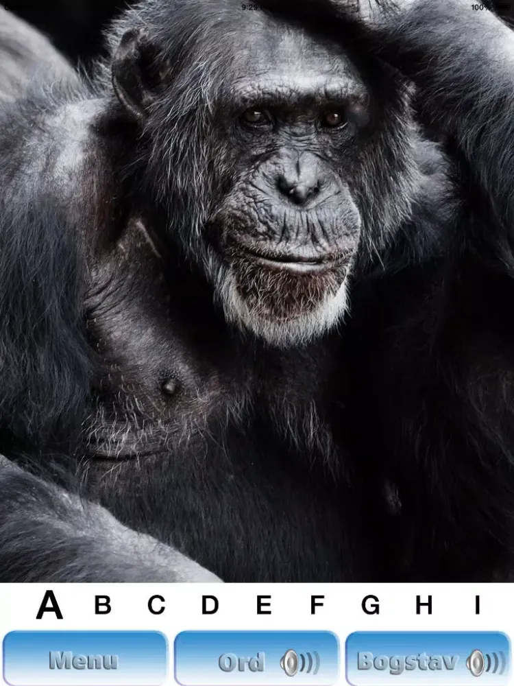Capturas de pantalla de Sjov med bogstaver iPad 