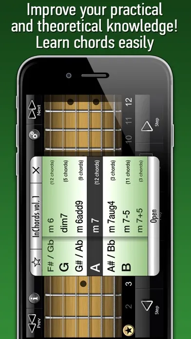 Скриншоты International Guitar Chords