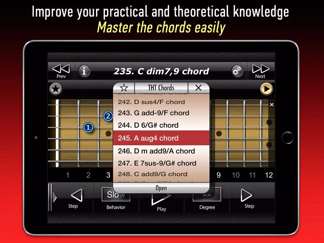 Capturas de pantalla de Two Handed Touch Guitar Chords iPad 