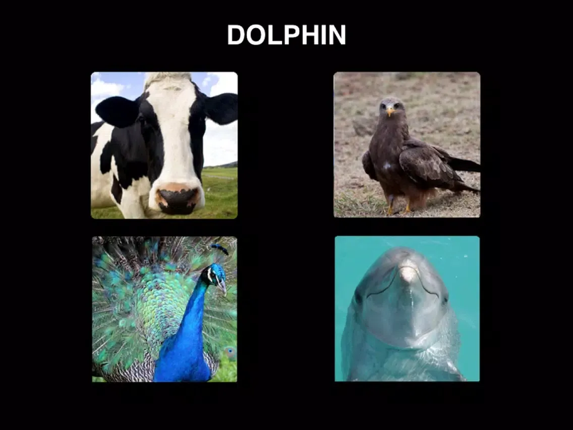 Sounds Animals Make PRO iPad  Screenshots