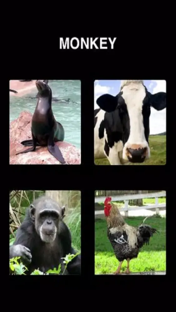 Sounds Animals Make PRO Screenshots