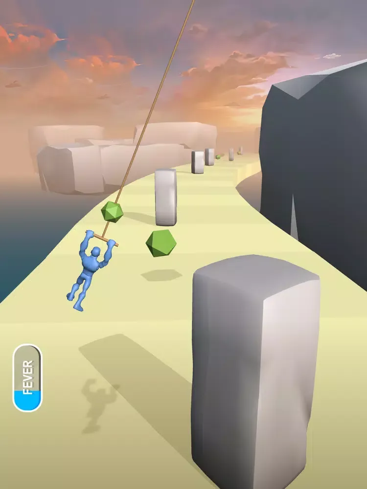 Swing Canyon iPad  スクリーンショット