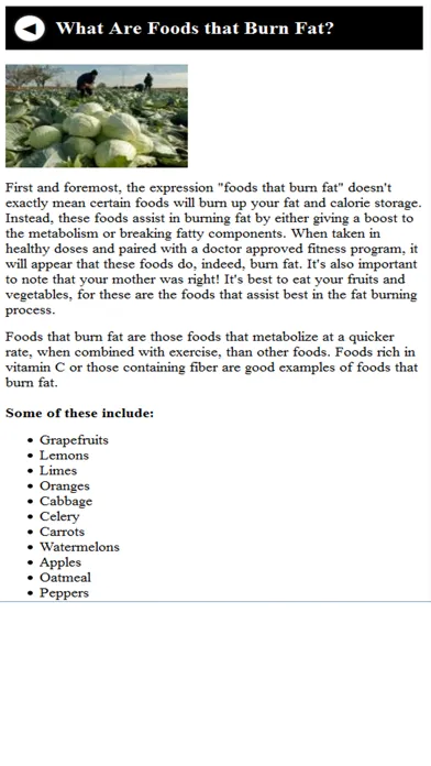 Food That Burn Fat 스크린샷