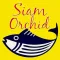 Siam Orchid