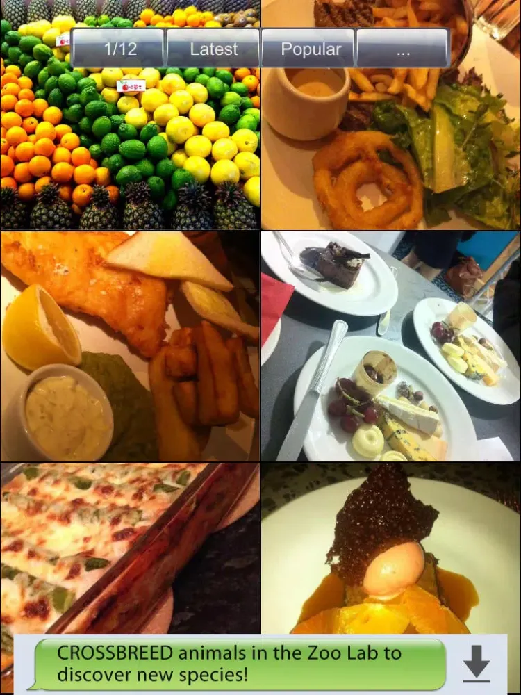 Zrzuty ekranu Food Pics! iPad 