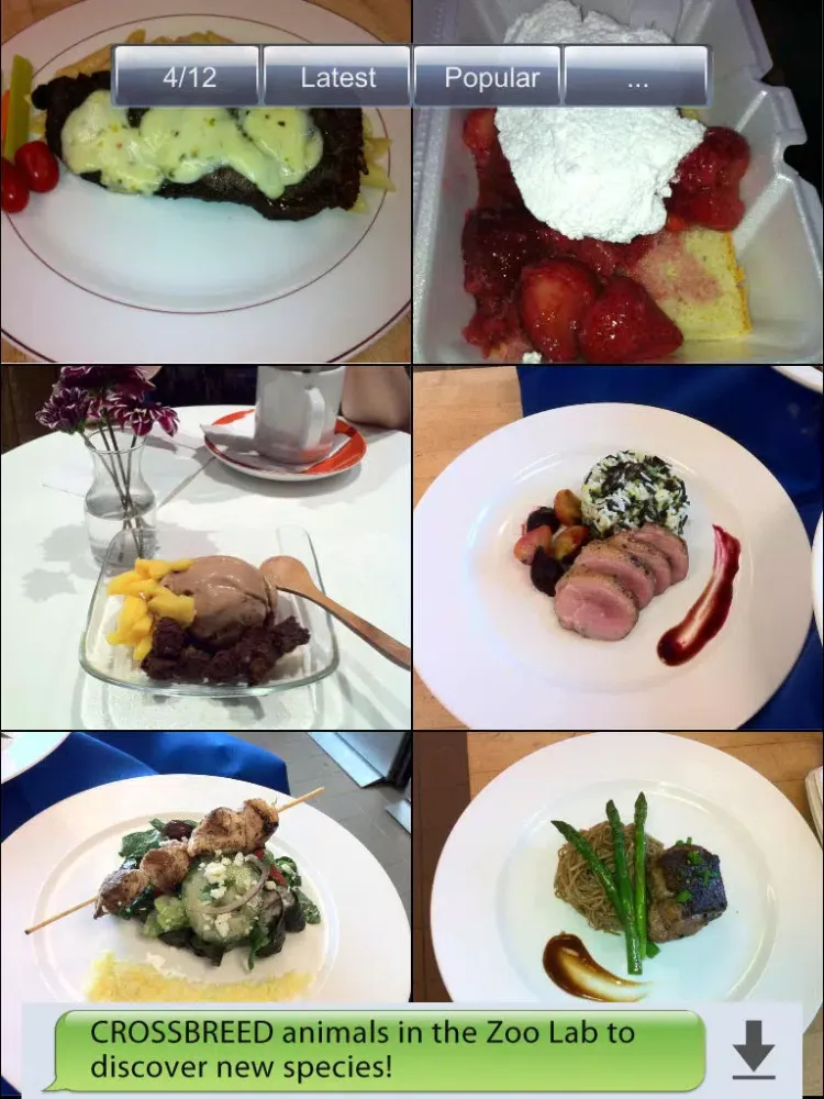 Zrzuty ekranu Food Pics! iPad 
