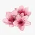 Sakura Flower