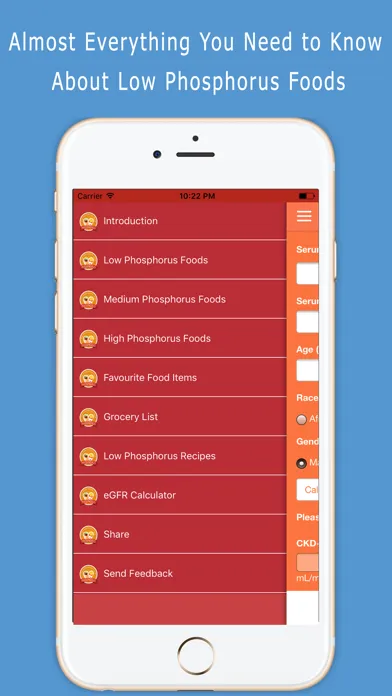 Zrzuty ekranu Low Phosphorus Foods