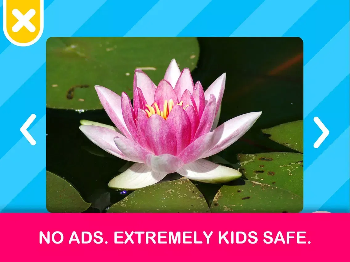 Toddler Baby Kids Flash Cards iPad  स्क्रीनशॉट