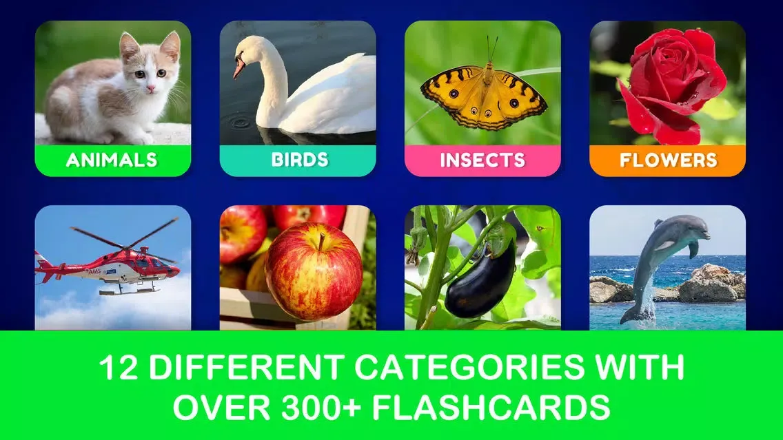 Toddler Baby Kids Flash Cards स्क्रीनशॉट