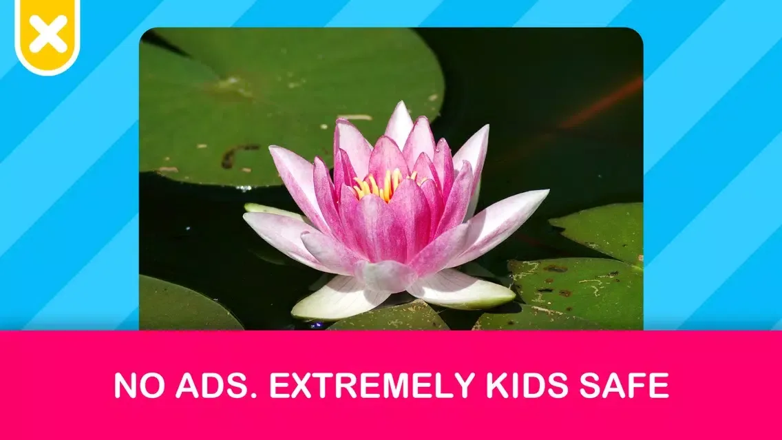 Toddler Baby Kids Flash Cards स्क्रीनशॉट