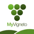 MyVigneto MyVigneto