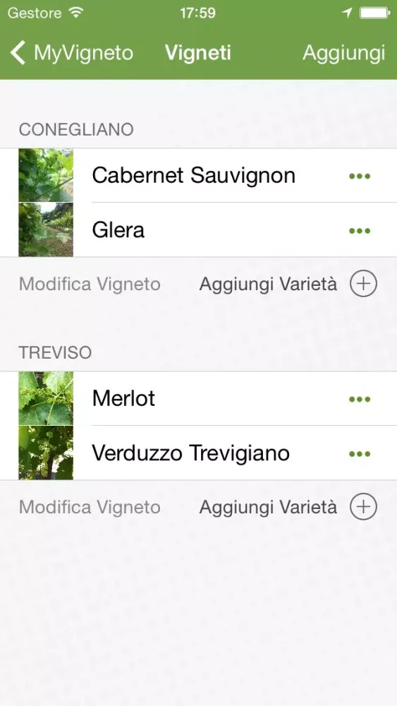 MyVigneto Screenshots