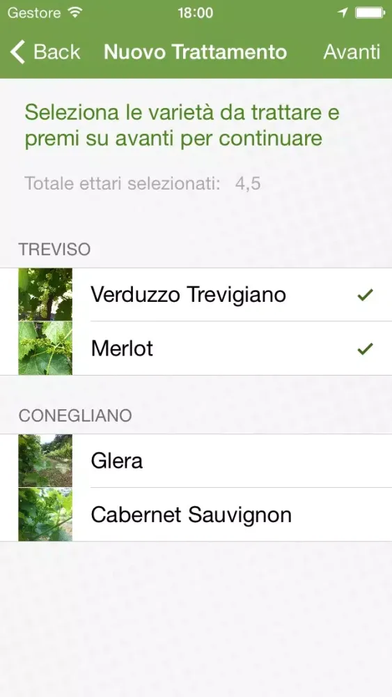 MyVigneto Screenshots