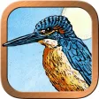 Animal Totem Tarot Animal Totem Tarot