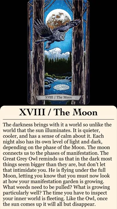 تصاویر Animal Totem Tarot