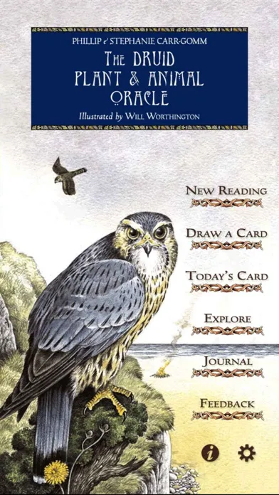 صور Druid Oracle Cards