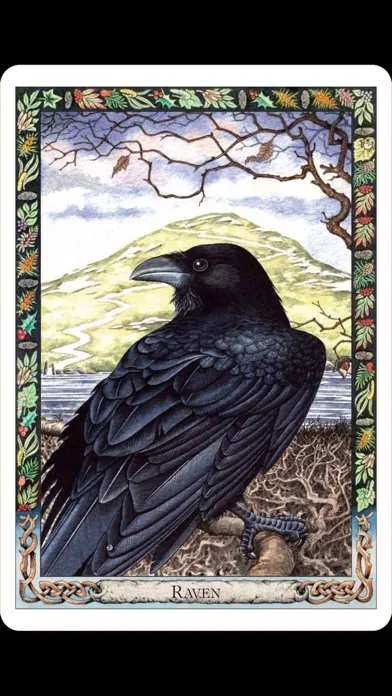صور Druid Oracle Cards