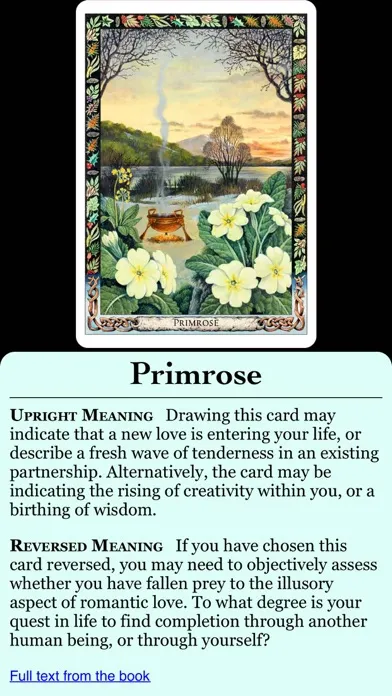 صور Druid Oracle Cards