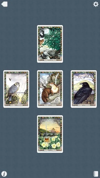 صور Druid Oracle Cards