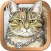 Mystical Cats Tarot