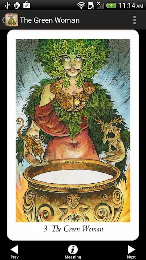 Ảnh chụp màn hình của Wildwood Tarot