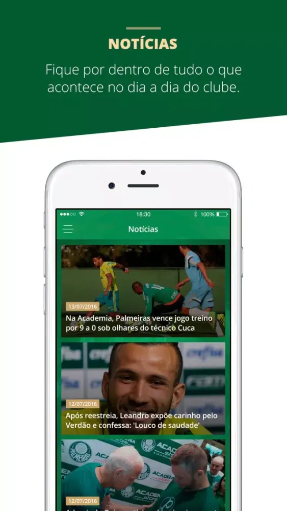 Tangkapan layar Palmeiras Oficial