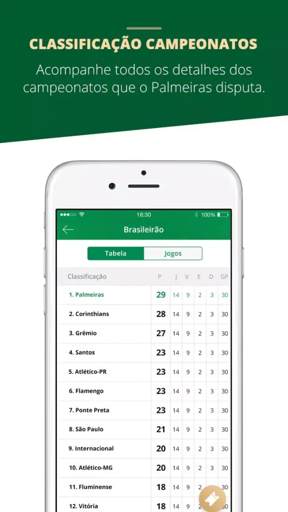 Tangkapan layar Palmeiras Oficial