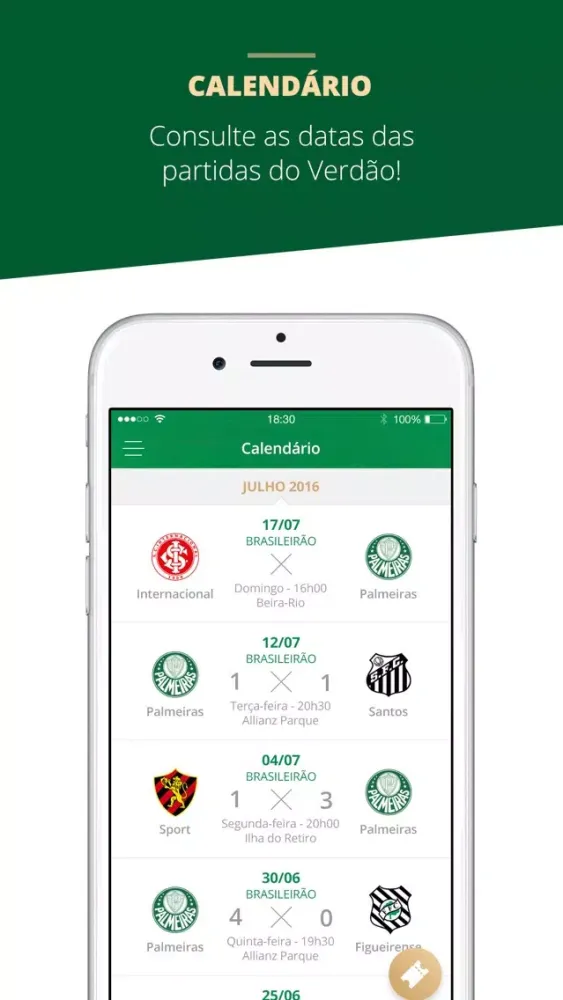 Tangkapan layar Palmeiras Oficial