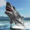 Great White Shark Survival