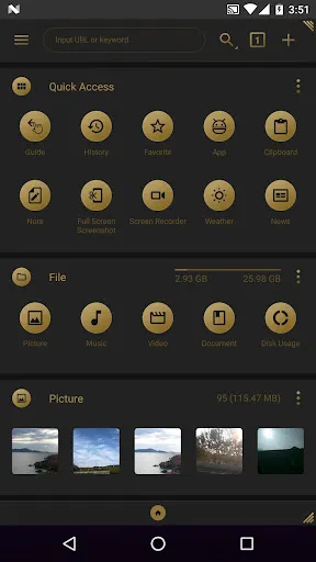 Tangkapan layar fooViewTheme - Black Golden