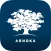 Ashoka Connect