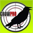 Forest Crow Hunting : 3D Birds Sniper Kill Shot Forest Crow Hunting : 3D Birds Sniper Kill Shot
