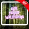 Cute Forest Wallpapers 4K !
