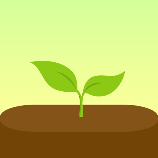 Forest: Focus for Productivity Forest: Focus for Productivity
