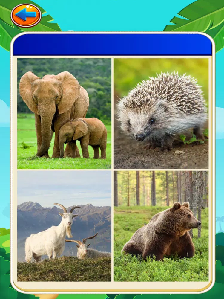 Malu's Learning Mini Games iPad  Ekran Görüntüleri